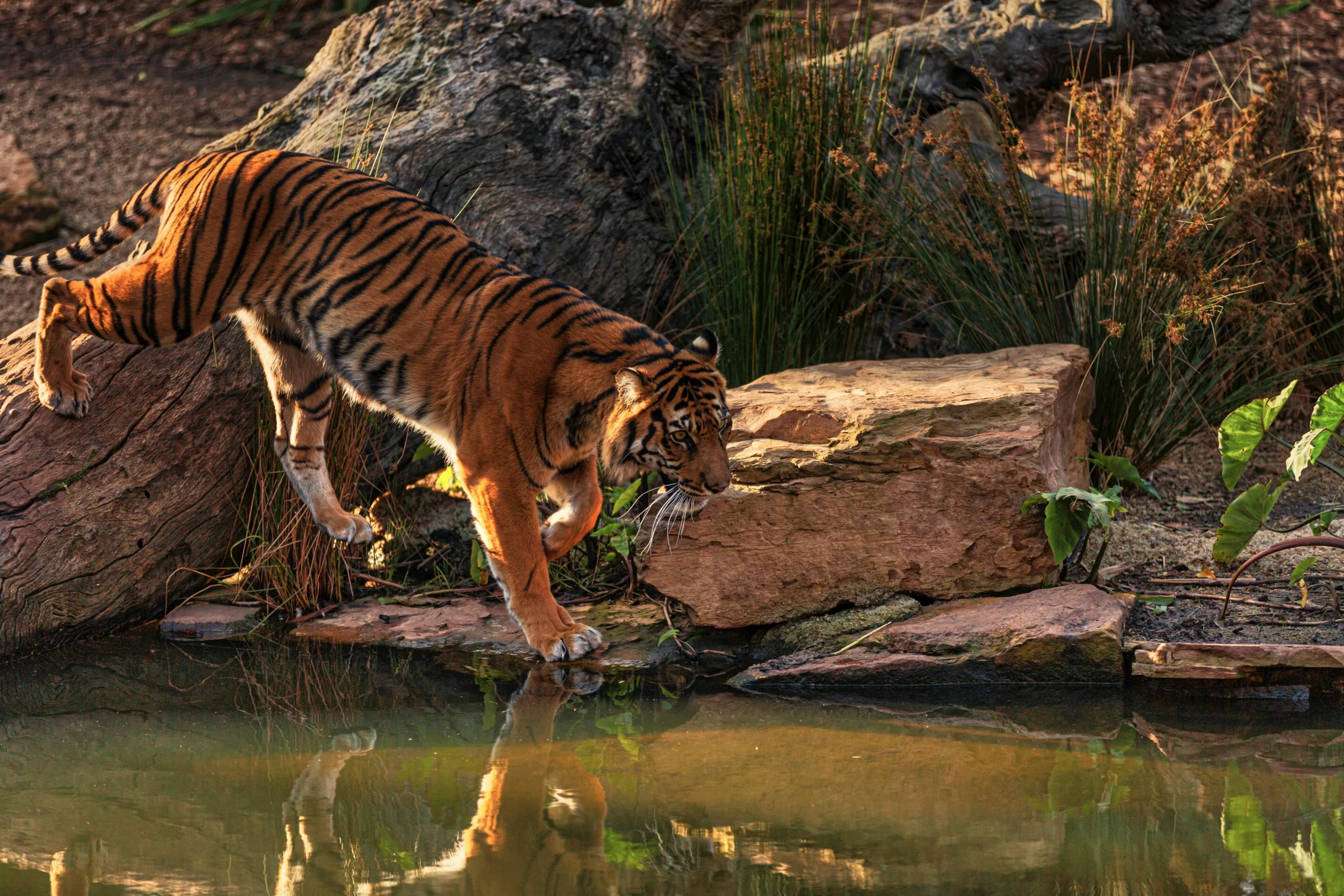 Sundarban 2 Nights 3 Days