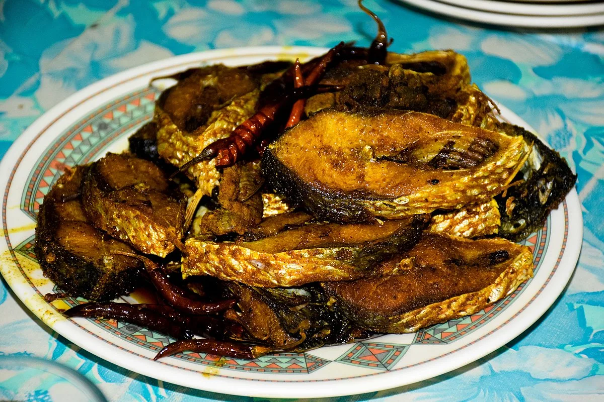 Hilsa Fry