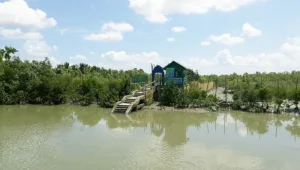 Adventurers exploring the lush Sundarbans on a tour from Kolkata
